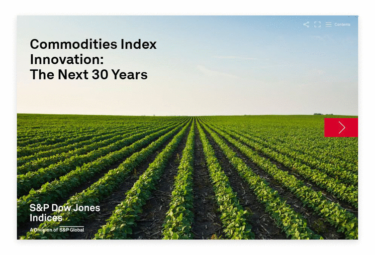 Commodities Index Innovation: the Next 30 Years